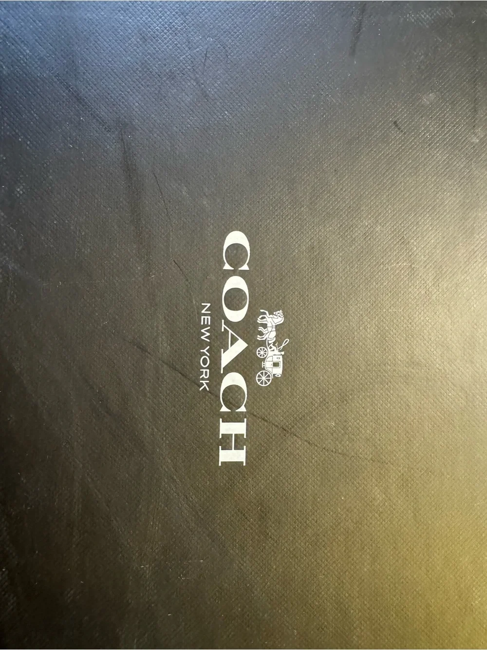 Coach classic pointed